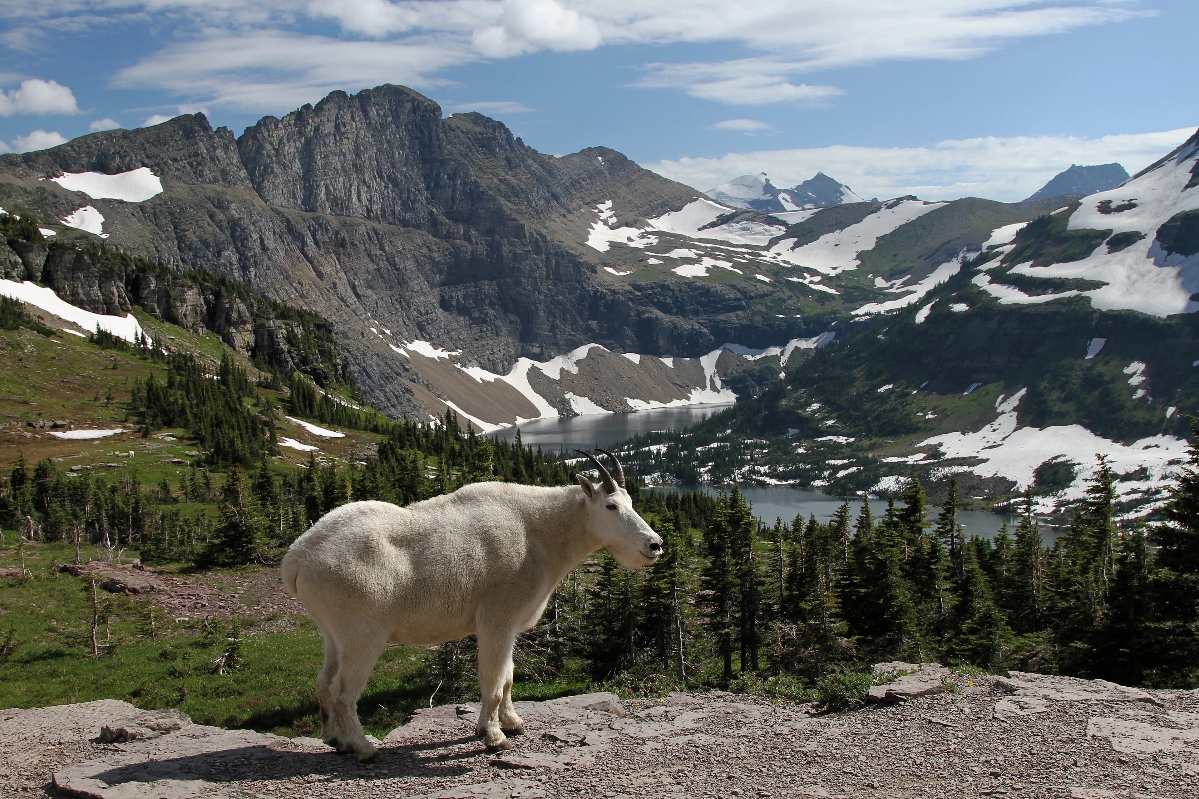 Glacier National Park, MT