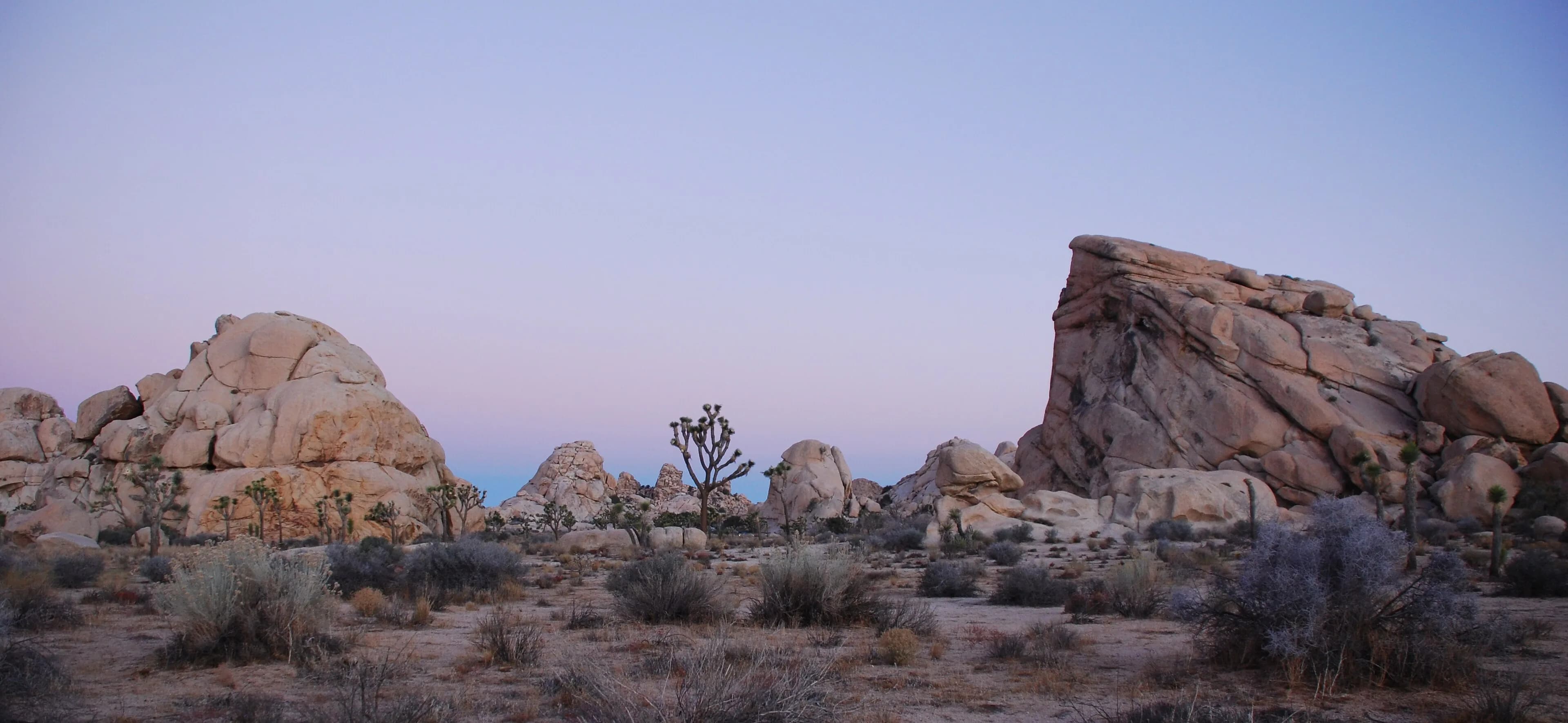 Joshua Tree National Park, CA