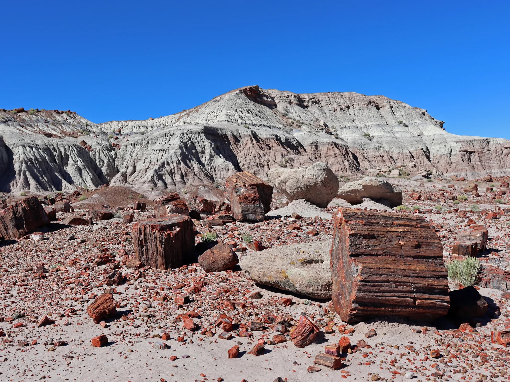 Petrified Forest & Painted Desert, AZ